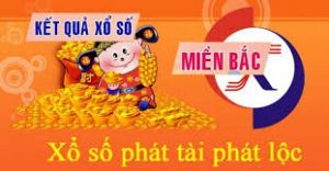 Dự đoán kết quả 14/11